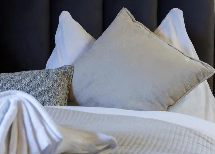 公寓 Luxe Walk To Lifts 达沃斯